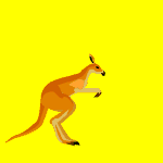 KANGOUROU